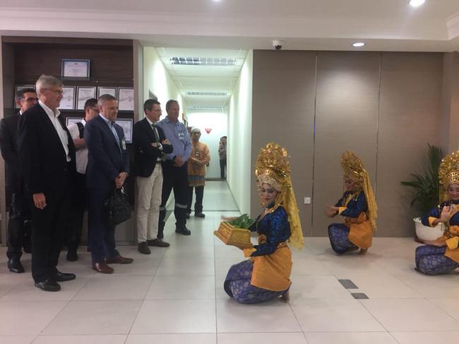 Daun Sirih, CEO McDermott, dan Investasi Rp 11 Triliun