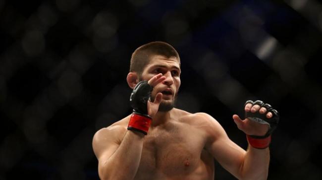 Khabib Pensiun Bikin Video Latihannya dengan Beruang Ramai Dibahas Lagi