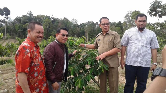 Mantan Panglima TNI Ini Sebut Pertanian di Lingga Menjanjikan