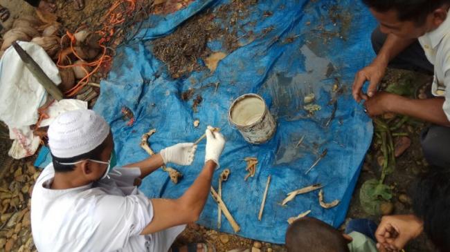 Buaya 4 Meter Tangkapan Warga Lingga Dibelah, Isinya Tulang Manusia