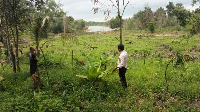 PDAM Bintan Nilai Pembabatan Hutan Sebabkan Air Waduk Menyusut