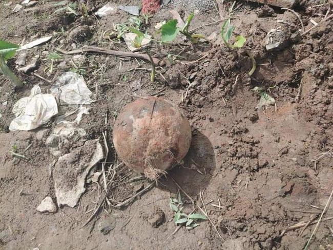 Bom Gegerkan Warga Desa di Malaysia, Bentuknya Mirip Kelapa