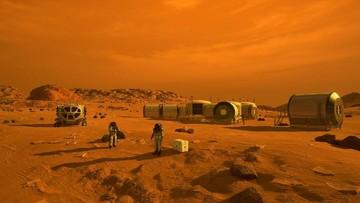 Riuh Perdebatan Soal Ada Serangga Hidup di Mars