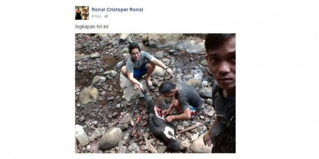 Tiga Pelaku Pembunuhan Ditangkap, Polisi: Hanya Sisa Tangan dan Kuku Beruang di TKP