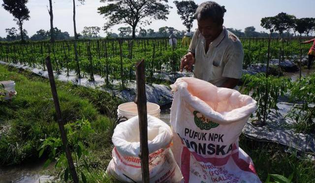 Bintan Krisis Pupuk Subsidi, Bupati Apri Minta Bantuan Pemprov