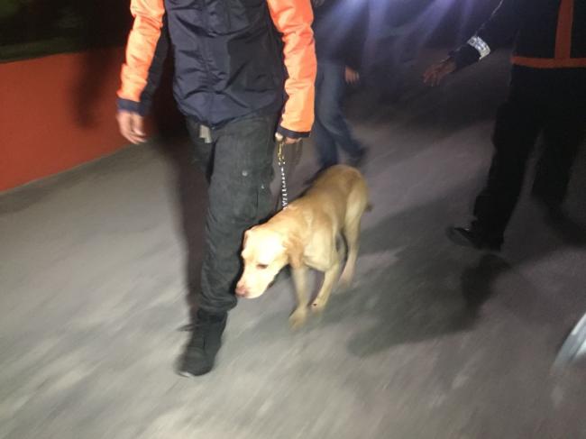 Empat Anjing Pelacak Kembali Periksa Muatan Kapal Win Long di Gudang Penyimpanan