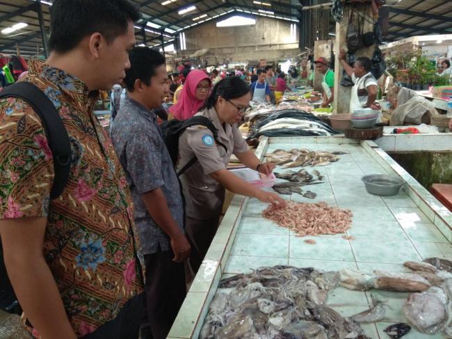  BKIPM Tanjungpinang Sidak Pasar Bintan Center, Pastikan Ikan Tanpa Formalin