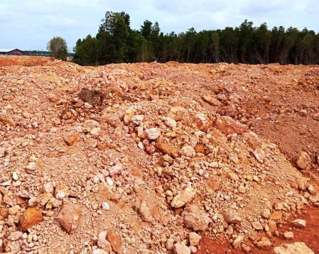 Dugaan Penyalahgunaan Izin Penimbunan Bakau, 4 Pejabat Bintan Diperiksa