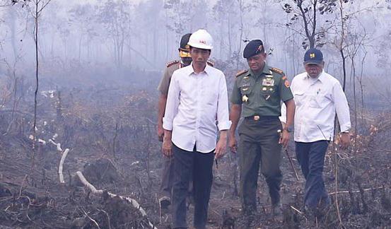 Cerita SP3 Perusahaan Pembakar Lahan dan Perintah Jokowi 