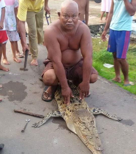 Foto-foto Buaya Tangkapan Warga yang Bikin Anda Ngeri