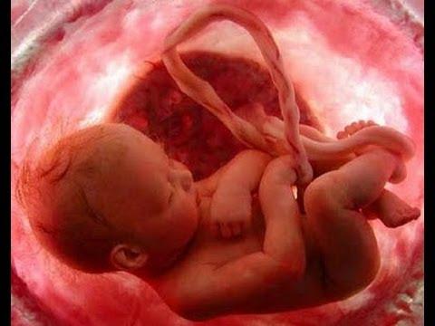 Humas BPJS Kesehatan: Calon Bayi Pun Bisa Masuk Jadi Peserta 