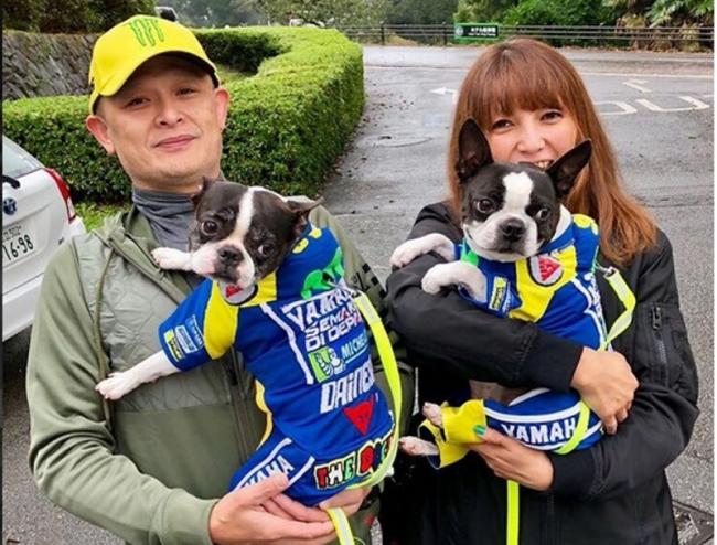 Pemiliknya Fans Berat Rossi, 2 Ekor Anjing Dikenakan Baju Balap