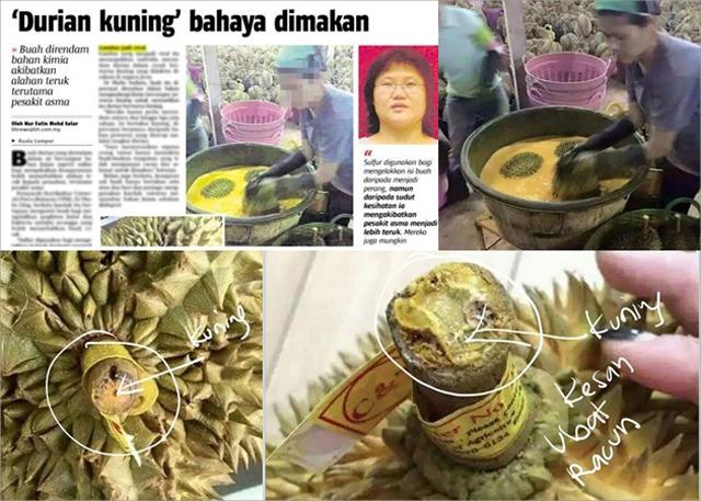 Malaysia Heboh Durian Oplosan Berbahan Kimia