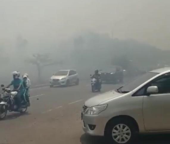 Hutan Duriankang Terbakar, Asap Tebal Bikin Perih Mata