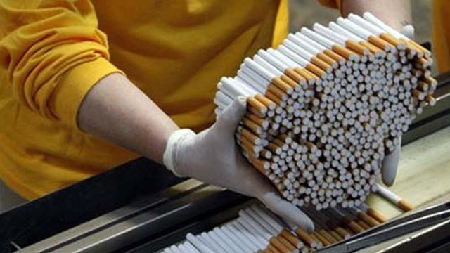 Pabrik Rokok, Investasi Pertama di Kawasan FTZ Tanjungpinang