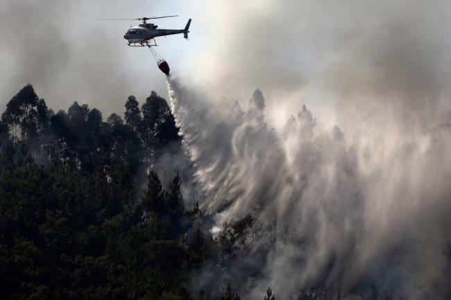12 Titik Panas Terdeteksi, Riau Kembali Diselimuti Kabut Asap