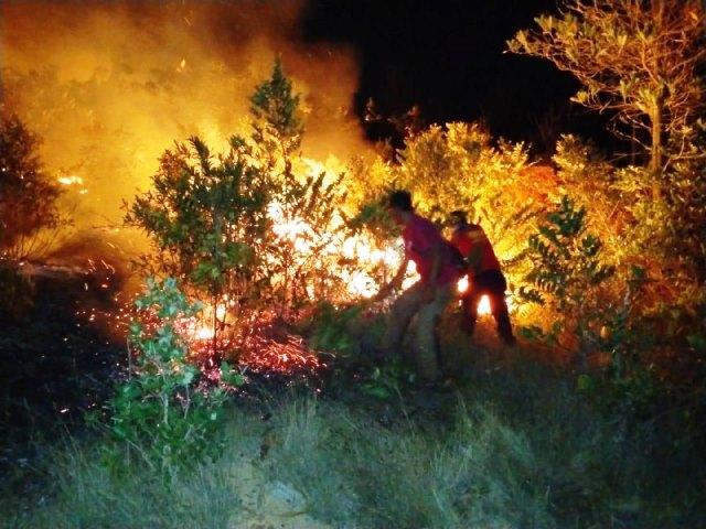 Kebakaran Hanguskan Lahan di Tiga Lokasi Bintan dalam Sehari