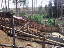 [Jurnalisme Warga] Ini Bukti Dam Duriangkang Tercemar Kotoran Babi