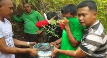 Dua Warga Karimun Penanam Ganja Diringkus Polisi