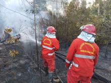 Kebakaran Hutan Kepung Area Pemakaman Covid 19 di Batam