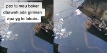 Ular Raksasa Muncul saat Warga BAB di Atas Kali Jakarta, Ini Penampakannya