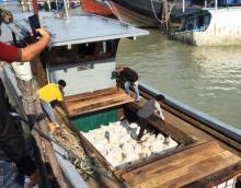Pasir Timah Senilai Rp 2,7 Miliar Gagal Diselundupakan ke Malaysia