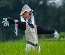 Astaga, Pria Ini Tewas Usai Berhubungan Intim dengan Orang-orangan Sawah