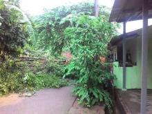 Longsor di Tanjungpiayu Timbun Empat Rumah