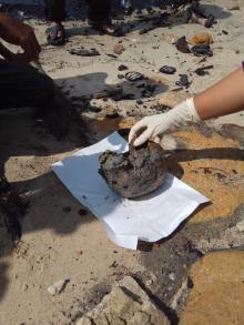 Nelayan Kundur Temukan Tengkorak Kepala Manusia di Tepi Pantai