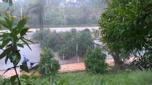 [Jurnalisme Warga] Pohon Tumbang, Hindari Jalan di Wilayah Bandara Ini