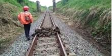 Tumpukan Batu Besar Ditemukan di Jalur KA di Lumajang, Diduga Sabotase
