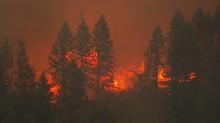 Kebakaran Hutan Lumpuhkan Negara Bagian Oregon di AS