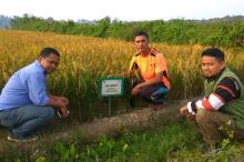 PKL Mahasiswa IPB Diharapkan Menguntungkan Petani