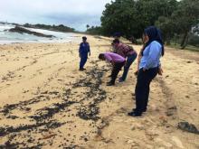 Lima Pantai Resort Lagoi Tercemar Limbah Minyak Hitam