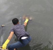 Begini Posisi Bayi Saat Ditemukan di Dalam Parit di Nagoya