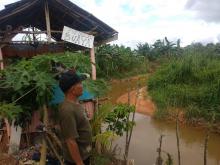 Teror Buaya di Kampung Bangun Sari Tanjungpinang