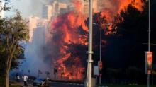  Palestina Ikut Berjibaku Padamkan Kebakaran Besar di Israel