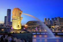 Virus Zika, 3 Negara Ini Keluarkan Travel Warning ke Singapura