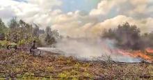 1,5 Hektare Lahan di Kampung Banjar Ludes Terbakar