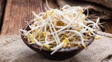 5 Makan Ini Dipercaya Bikin Cepat Hamil, Apa Benar?