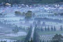 Dataran Tinggi Dieng Kembali Membeku, Suhu Capai Minus 9 Derajat