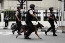 Mengenal Anjing Pelacak dari Kepolisian