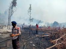 Terbakar Sejak Malam, Tiga Hektare Hutan di Galang Hangus