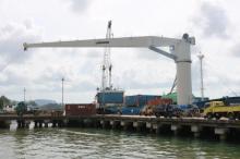 Pengembangan Bisnis Peti Kemas, Ini Permintaan Apri ke PT Pelindo