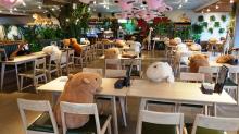 Kafe di Jepang Pasang Boneka Kapibara untuk Jaga Jarak Pengunjung