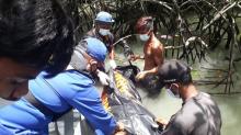 Polisi Ungkap Ciri-ciri Mayat Tersangkut di Bakau Pulau Karimun Anak