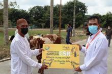 PLN Batam Salurkan Bantuan CSR 64 Ekor Hewan Kurban