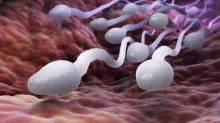 Enam Cara Alami Tingkatkan Jumlah Sperma pada Pria