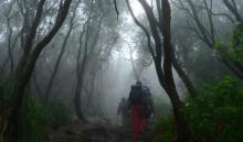 Cerita Menyeramkan Pria di Bintan Hilang 4 Hari dalam Hutan Angker