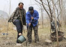 Disabilitas, Dua Sahabat  di China Sanggup Tanam 10 Ribu Pohon 